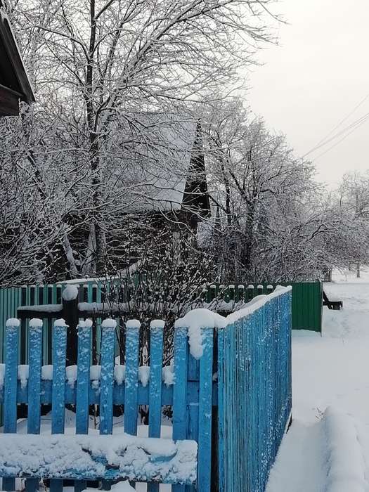 Международный творческий конкурс «Однажды, в студёную зимнюю пору...»  - детский рисунок, поделка, творческая работа, категория школьники, 1 класс, дистанционный конкурс, школьный конкурс