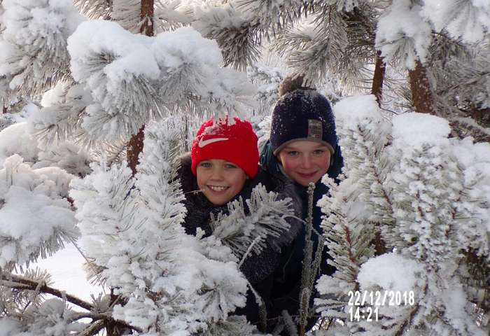 Международный творческий конкурс «Однажды, в студёную зимнюю пору...»  - детский рисунок, поделка, творческая работа, категория школьники, 4 класс, дистанционный конкурс, школьный конкурс