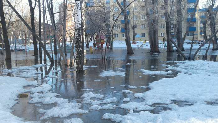 Международный творческий конкурс «Весна идёт – весне дорогу!»  - детский рисунок, поделка, творческая работа, категория школьники, 7 класс, дистанционный конкурс, школьный конкурс