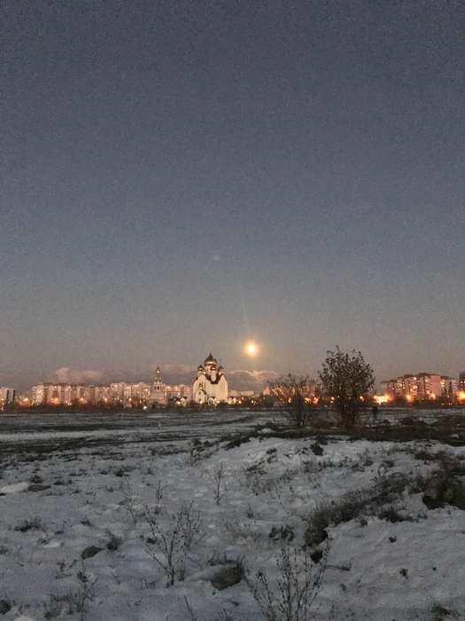 Международный творческий конкурс «Весенние зарисовки»  - детский рисунок, поделка, творческая работа, категория школьники, 9 класс, дистанционный конкурс, школьный конкурс