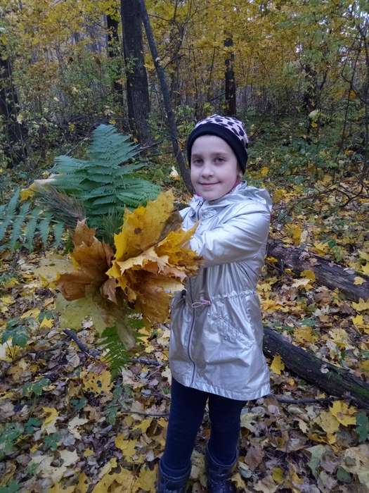 Международный творческий конкурс «Уж небо осенью дышало...»  - детский рисунок, поделка, творческая работа, категория школьники, 2 класс, дистанционный конкурс, школьный конкурс