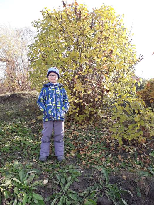 Международный творческий конкурс «Уж небо осенью дышало...»  - детский рисунок, поделка, творческая работа, категория дошкольники, детский сад, дистанционный конкурс, школьный конкурс