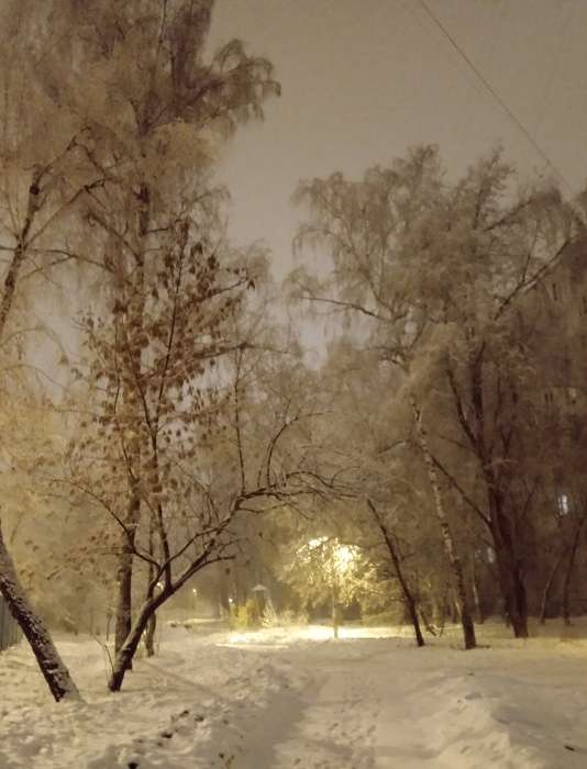 Международный творческий конкурс «Поёт зима - аукает...»  - детский рисунок, поделка, творческая работа, категория взрослые, дистанционный конкурс, школьный конкурс