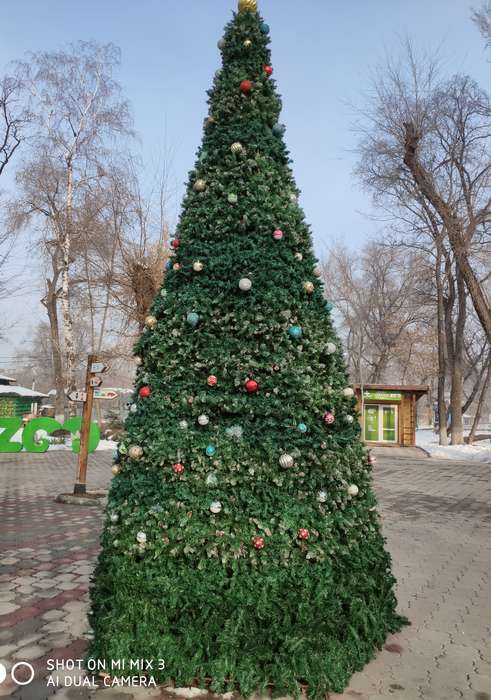 Международный творческий конкурс «Когда часы двенадцать бьют...»  - детский рисунок, поделка, творческая работа, категория школьники, 3 класс, дистанционный конкурс, школьный конкурс