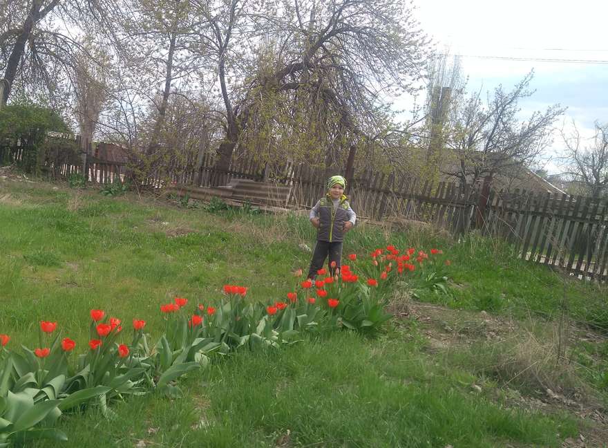 Международный творческий конкурс «Дыхание весны»  - детский рисунок, поделка, творческая работа, категория дошкольники, детский сад, дистанционный конкурс, школьный конкурс