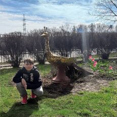 Работа участника - Шестёркин Семён