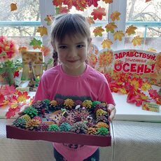 Работа участника - Никитина Александра