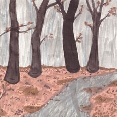 Работа участника - Антипова Эвелина