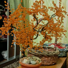 Работа участника - Валиуллина Анастасия