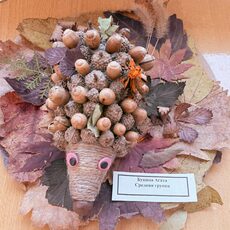 Работа участника - Букина Агата