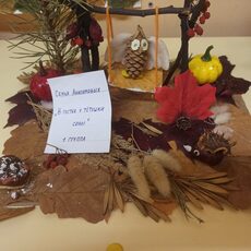 Работа участника - Анисимов Илья