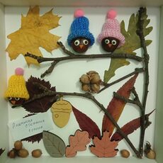 Работа участника - Андронова Стефания