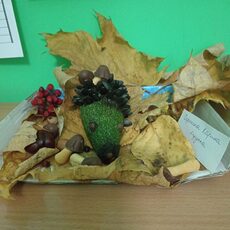 Работа участника - Серегина Карина