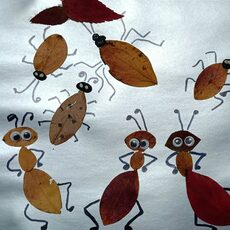 Работа участника - Малышева Ева