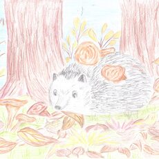 Работа участника - Лавров Дмитрий