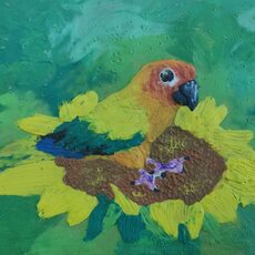 Работа участника - Беденко Теми - Мирослава