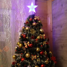 Работа участника - Абдрафикова Маргарита