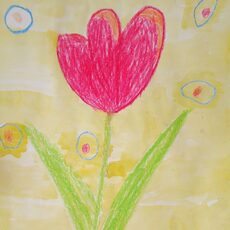 Работа участника - Вяткин Михаил