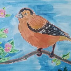 Работа участника - Скукина Александра