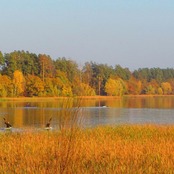 Работа участника - Лузанова Сияна